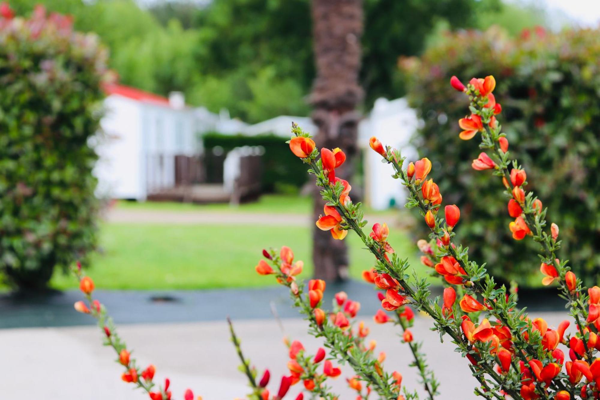 Camping Les Mancellieres Avrille  Luaran gambar