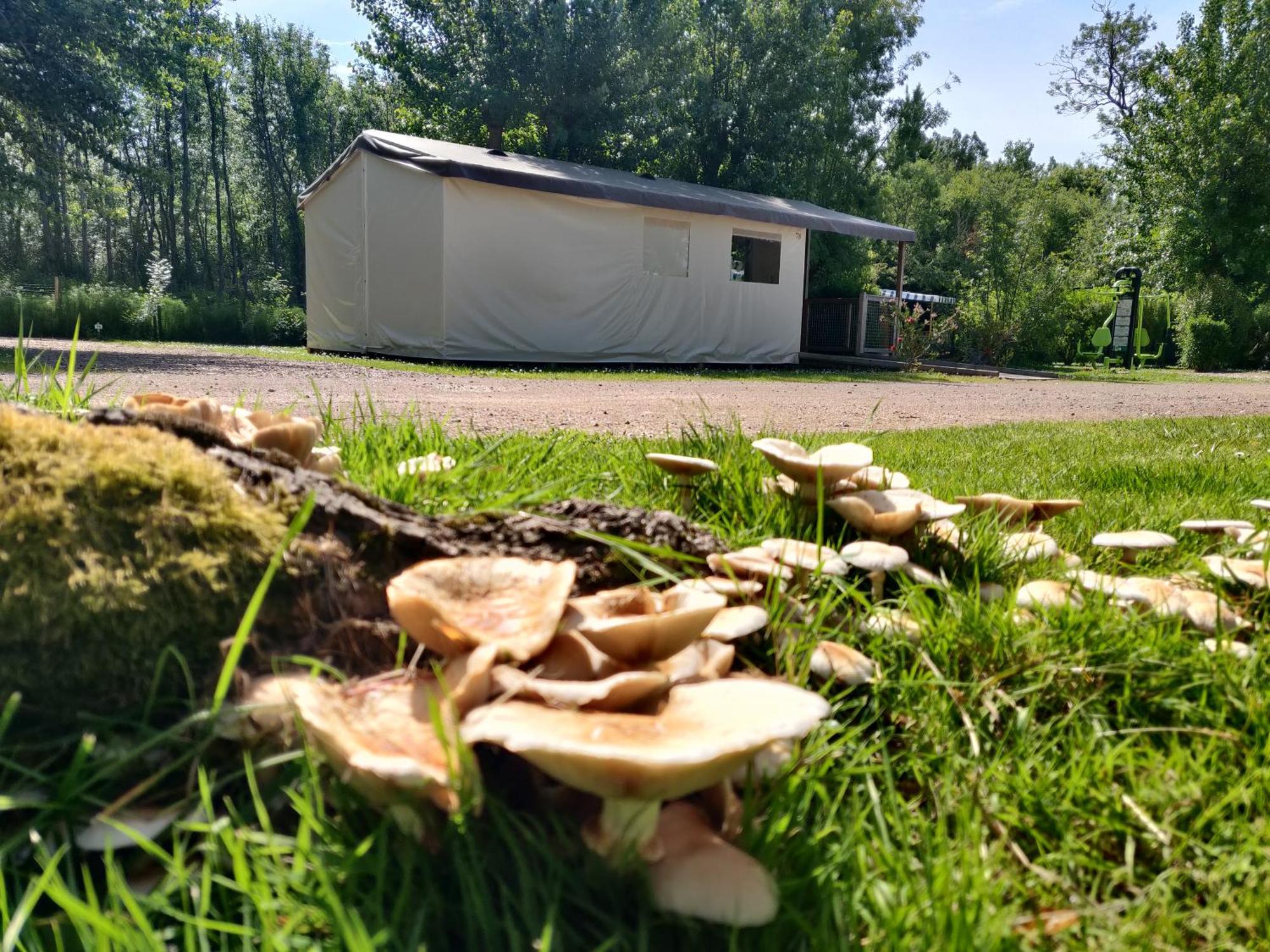 Camping Les Mancellieres Avrille  Luaran gambar