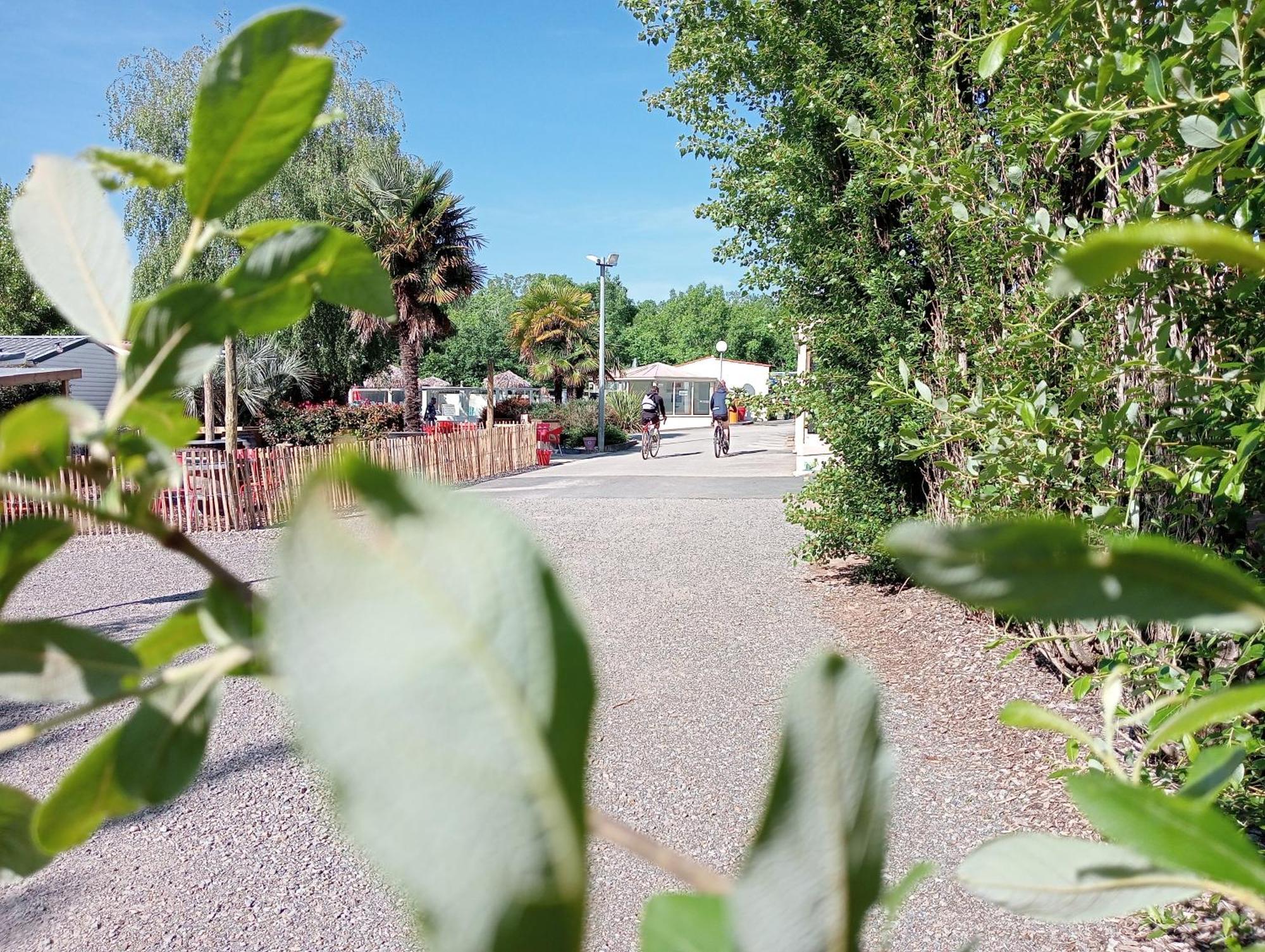 Camping Les Mancellieres Avrille  Luaran gambar